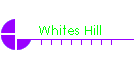 Whites Hill